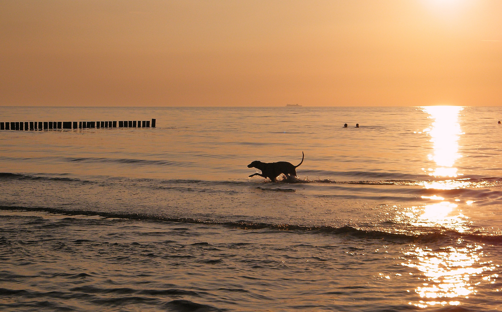 ....Ostsee-Hundestrand bei Sonnenuntergang....