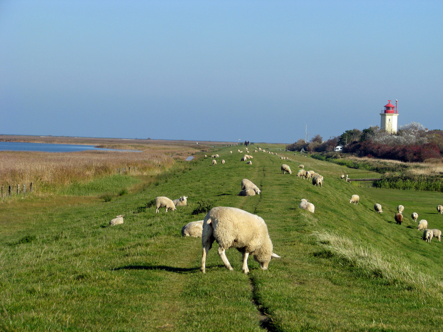 Ostsee-Idylle