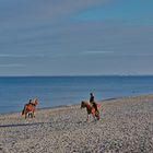 Ostsee-Idylle!