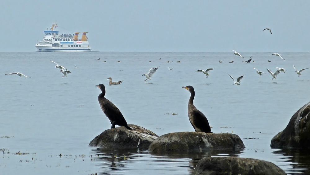 Ostsee-Idylle