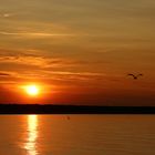 Ostsee im Abendlicht