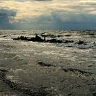 Ostsee im Herbst