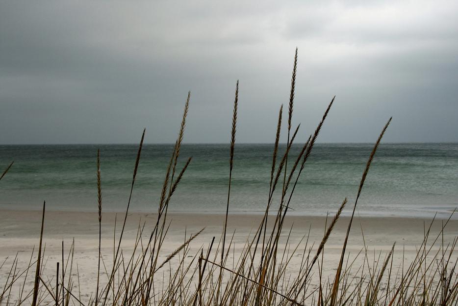 Ostsee im Januar ...