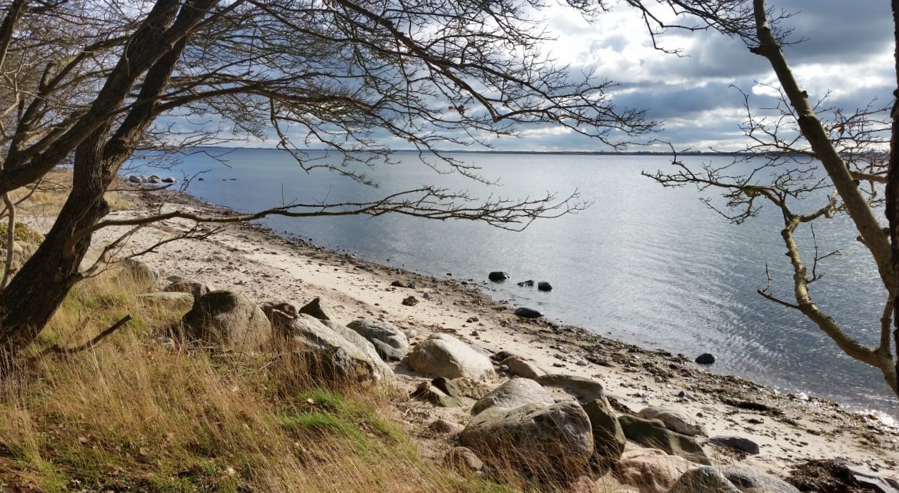Ostsee im Winter 2020