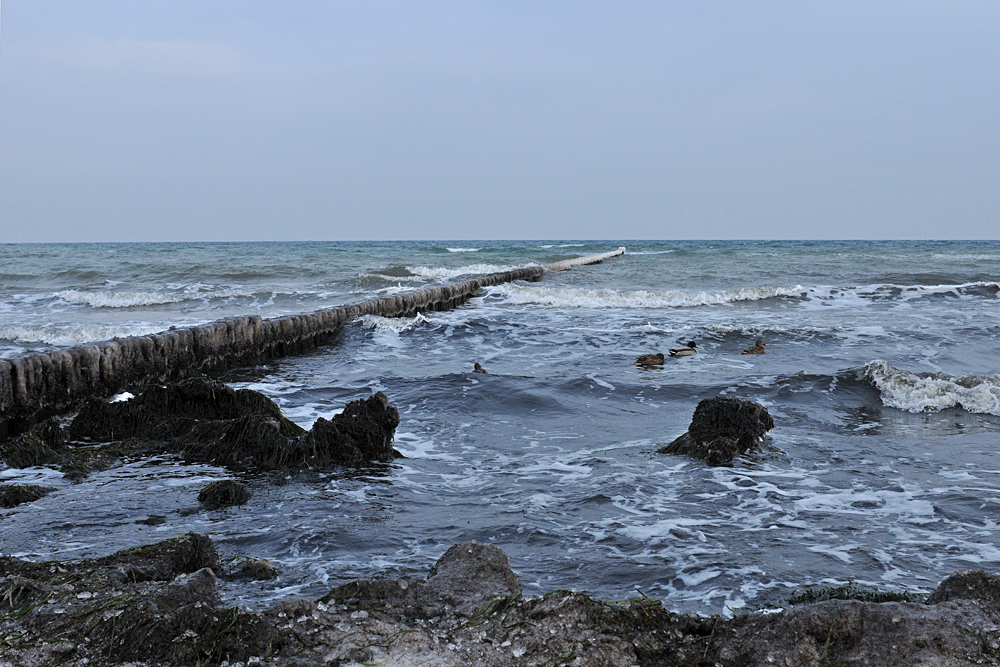 Ostsee im Winter: Eine Brise Kaltes 01