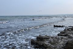 Ostsee im Winter: Eine Brise Kaltes 02