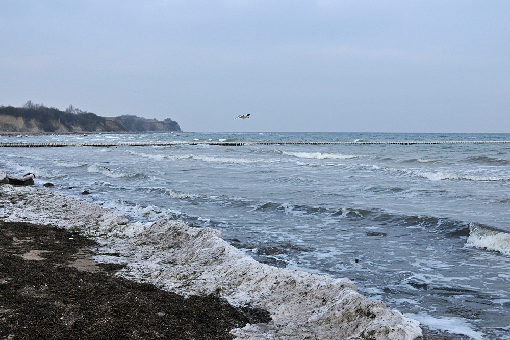 Ostsee im Winter: Eine Brise Kaltes 04