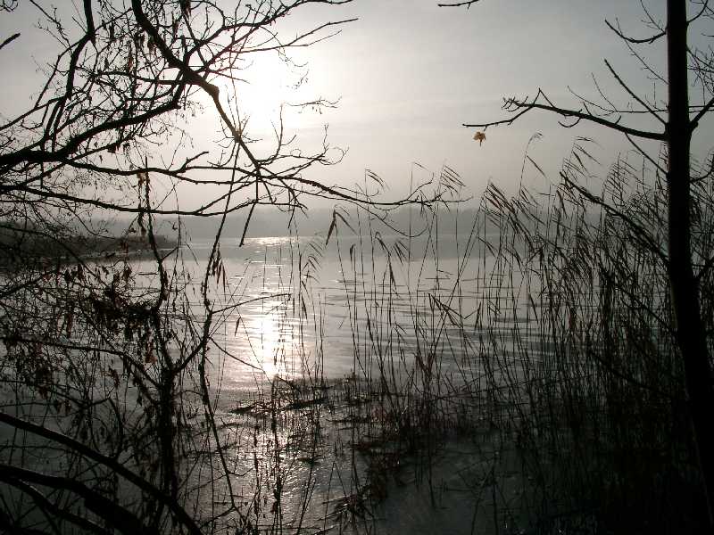 Ostsee im Winterdunst