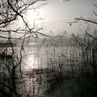 Ostsee im Winterdunst