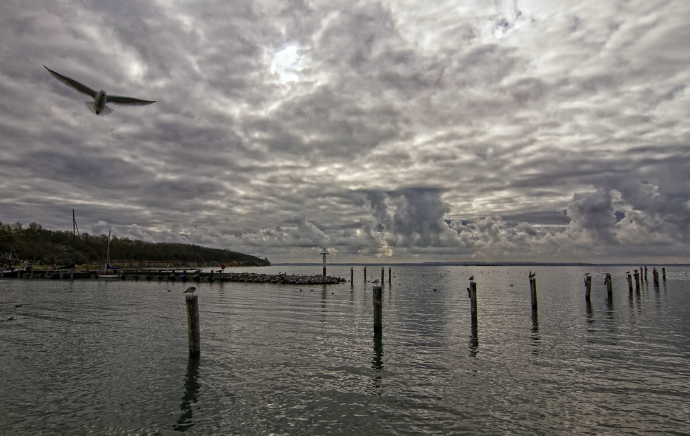 Ostsee-Impression 10