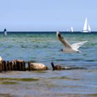 Ostsee-Impression II