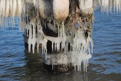 Ostsee-Impressionen (1)