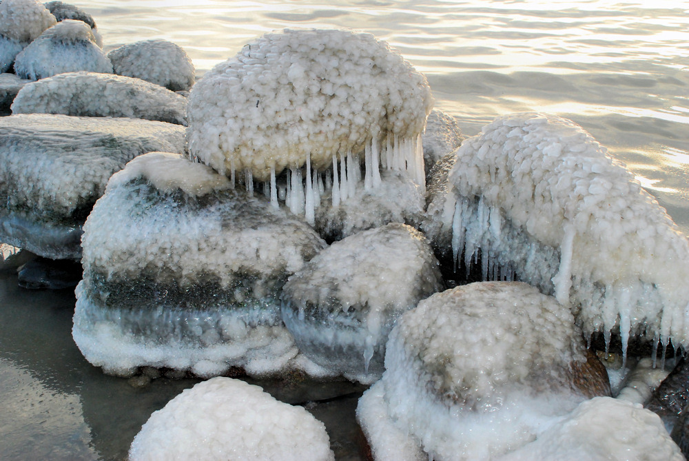 Ostsee-Impressionen (2)