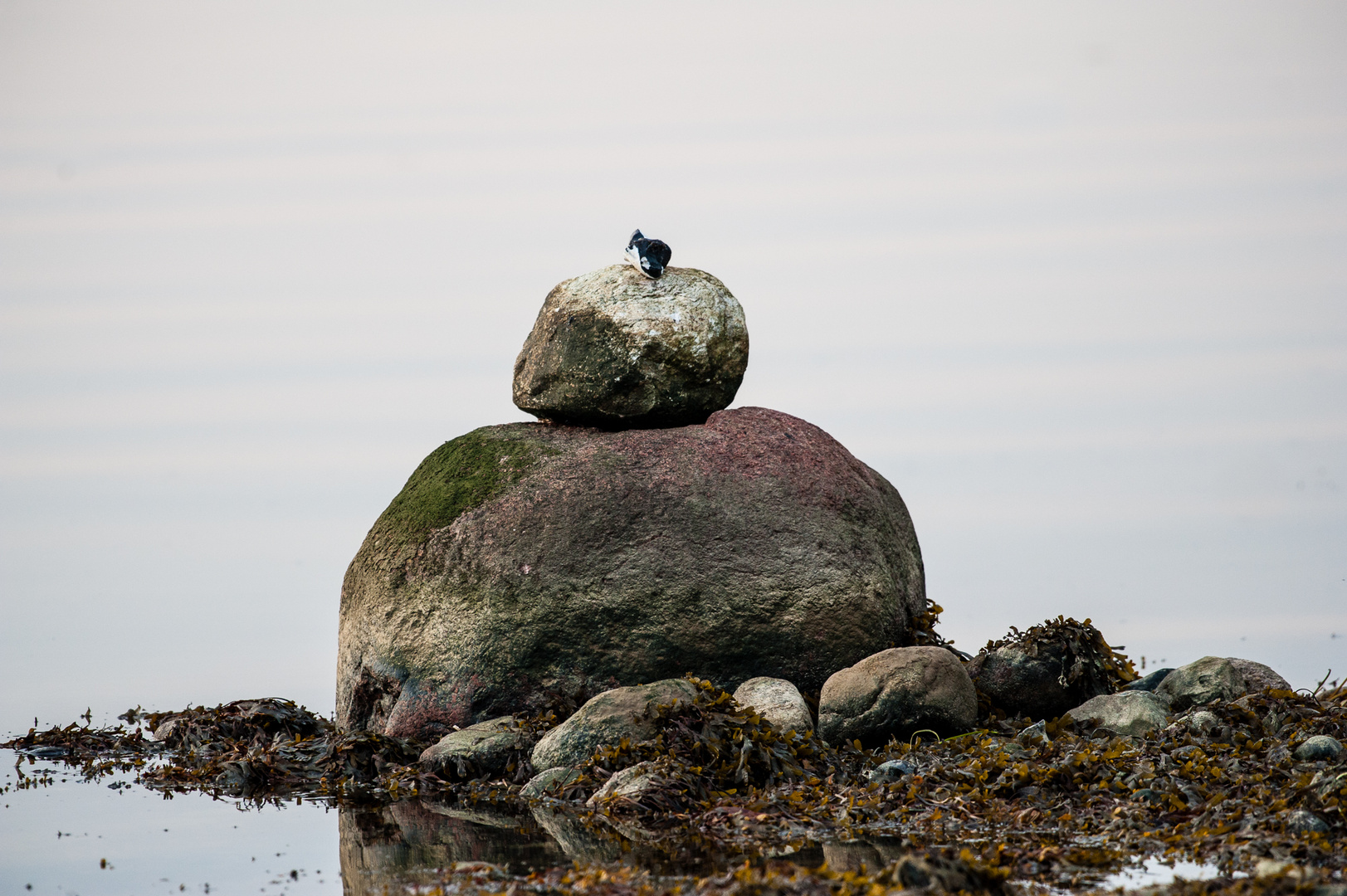 Ostsee Impressionen