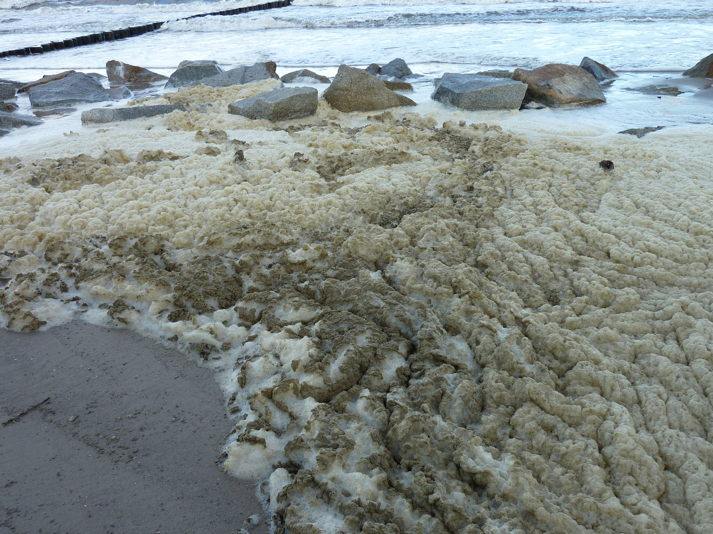 Ostsee Impressionen