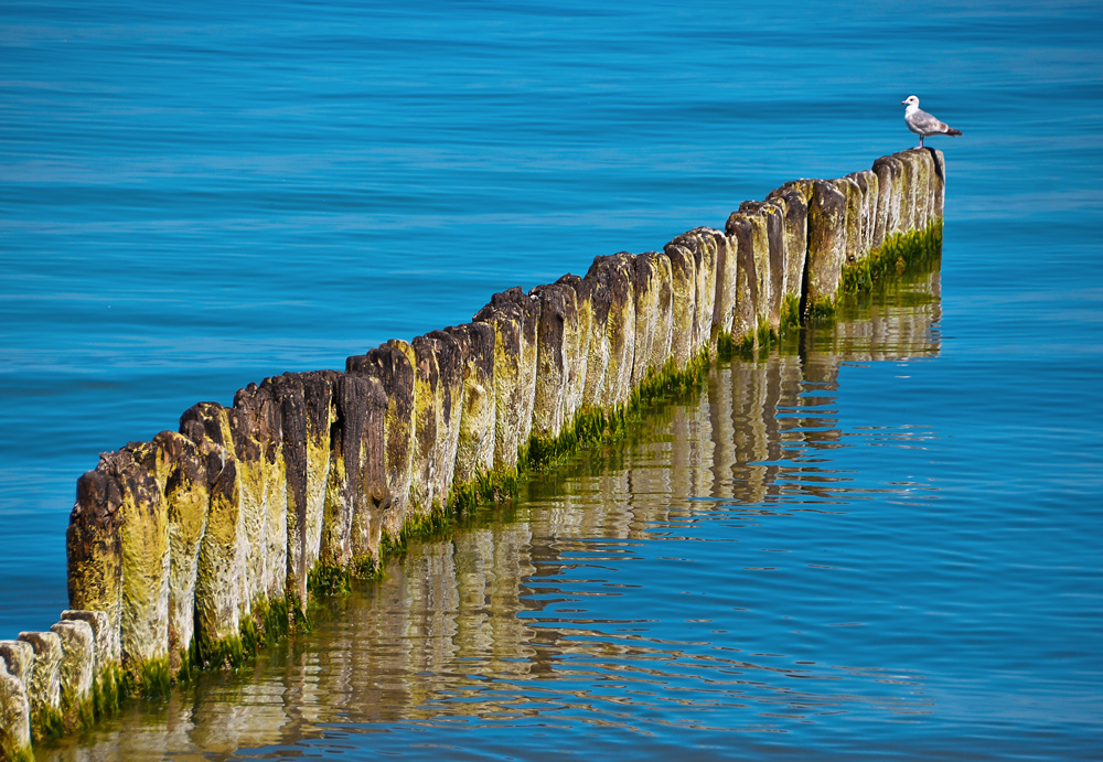 Ostsee Impressionen