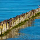 Ostsee Impressionen