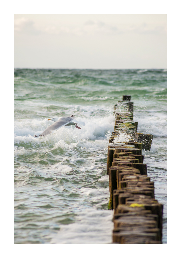 Ostsee Impressionen III