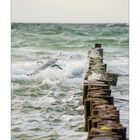 Ostsee Impressionen III