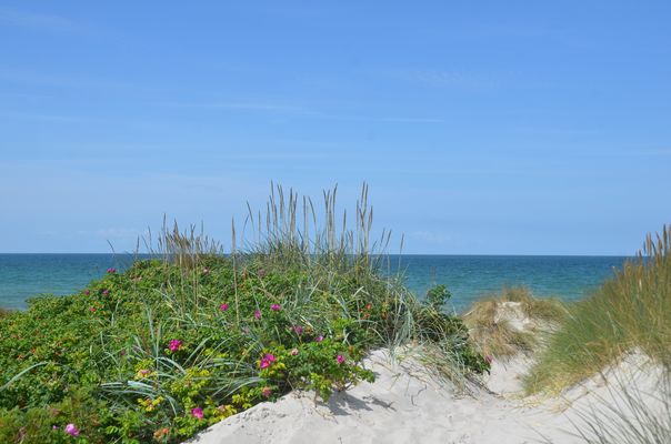 Ostsee-Insel Hiddensee
