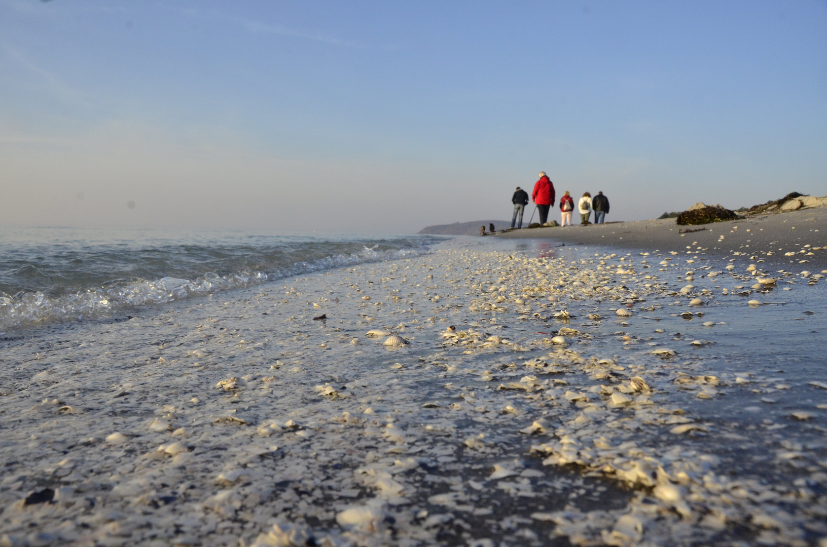 Ostsee Insel Hiddensee 