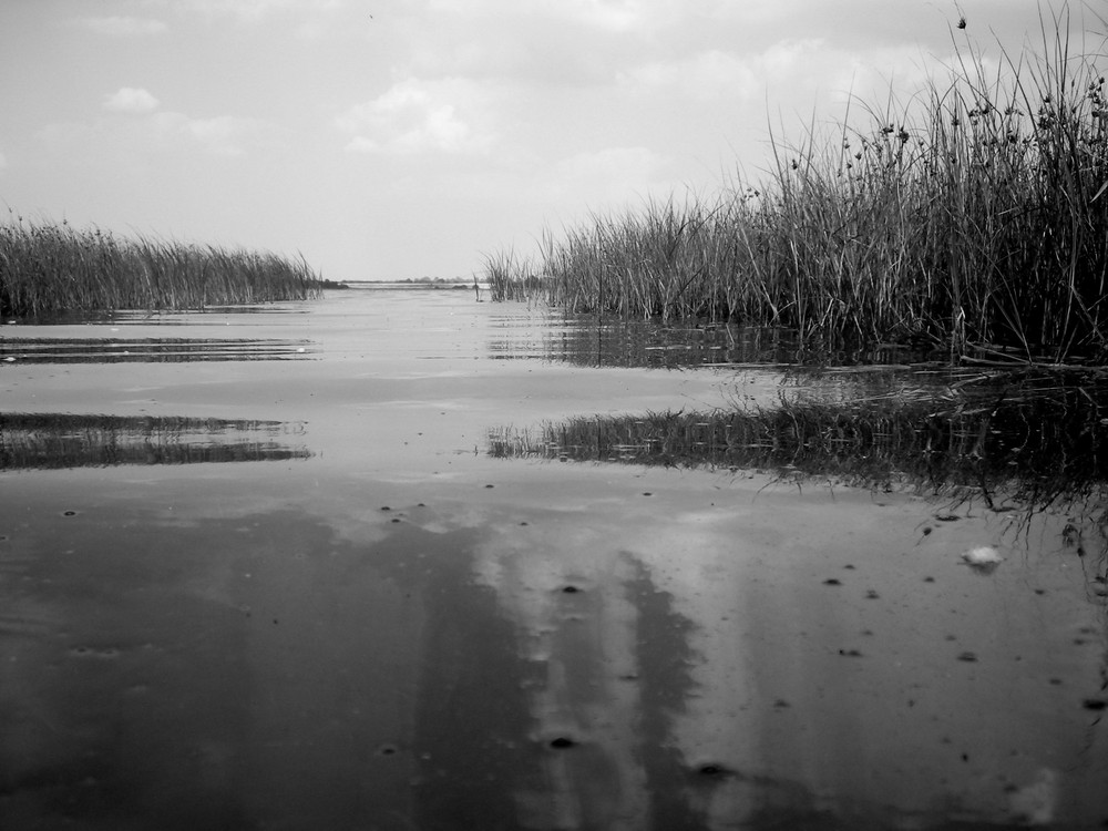 Ostsee Insel Poel Breitling