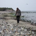 Ostsee ist immer noch besser aLs nordsee