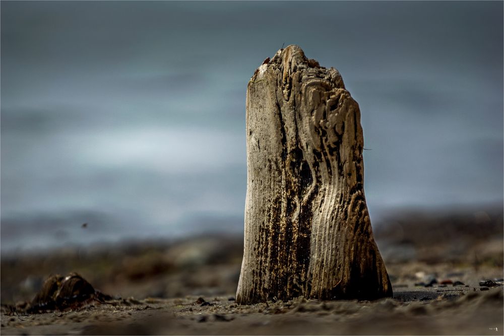 Ostsee Kellenhusen nach Grömitz-0017-Bearbeitet Kopie