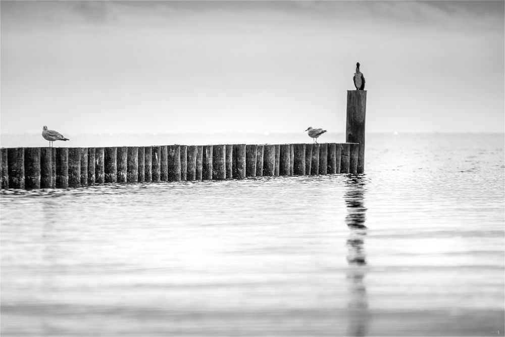 Ostsee Kellenhusen nach Grömitz-9938-Bearbeitet-2 Kopie