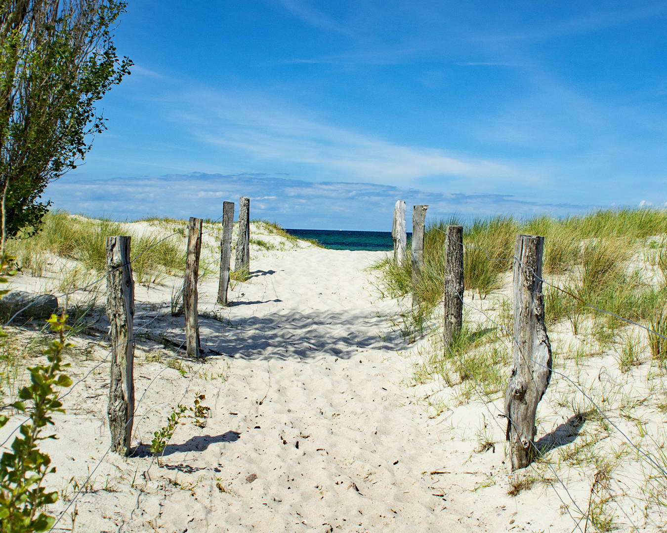 Ostsee Küste Heiligenhafen Foto & Bild landschaft, meer & strand, dünen Bilder auf