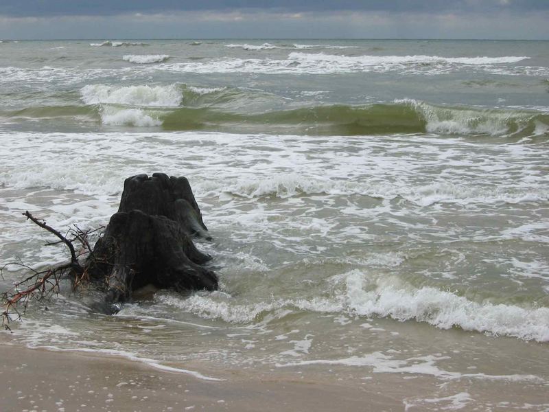 Ostsee, Leba