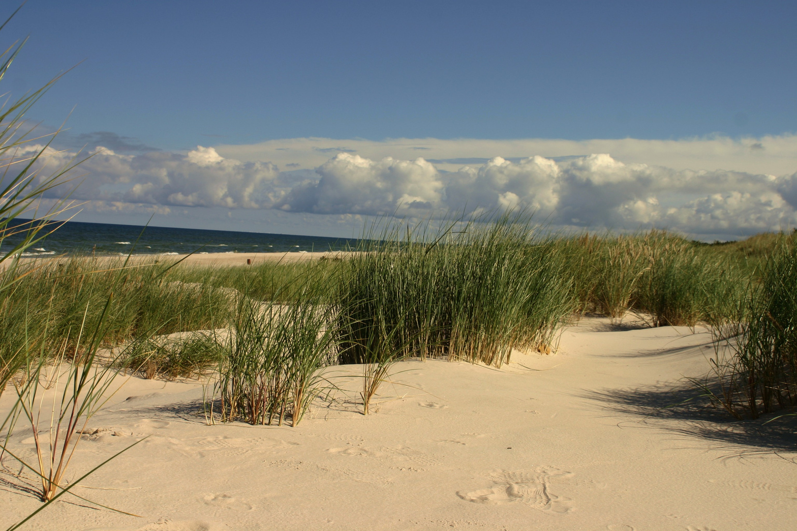 Ostsee Lebadüne