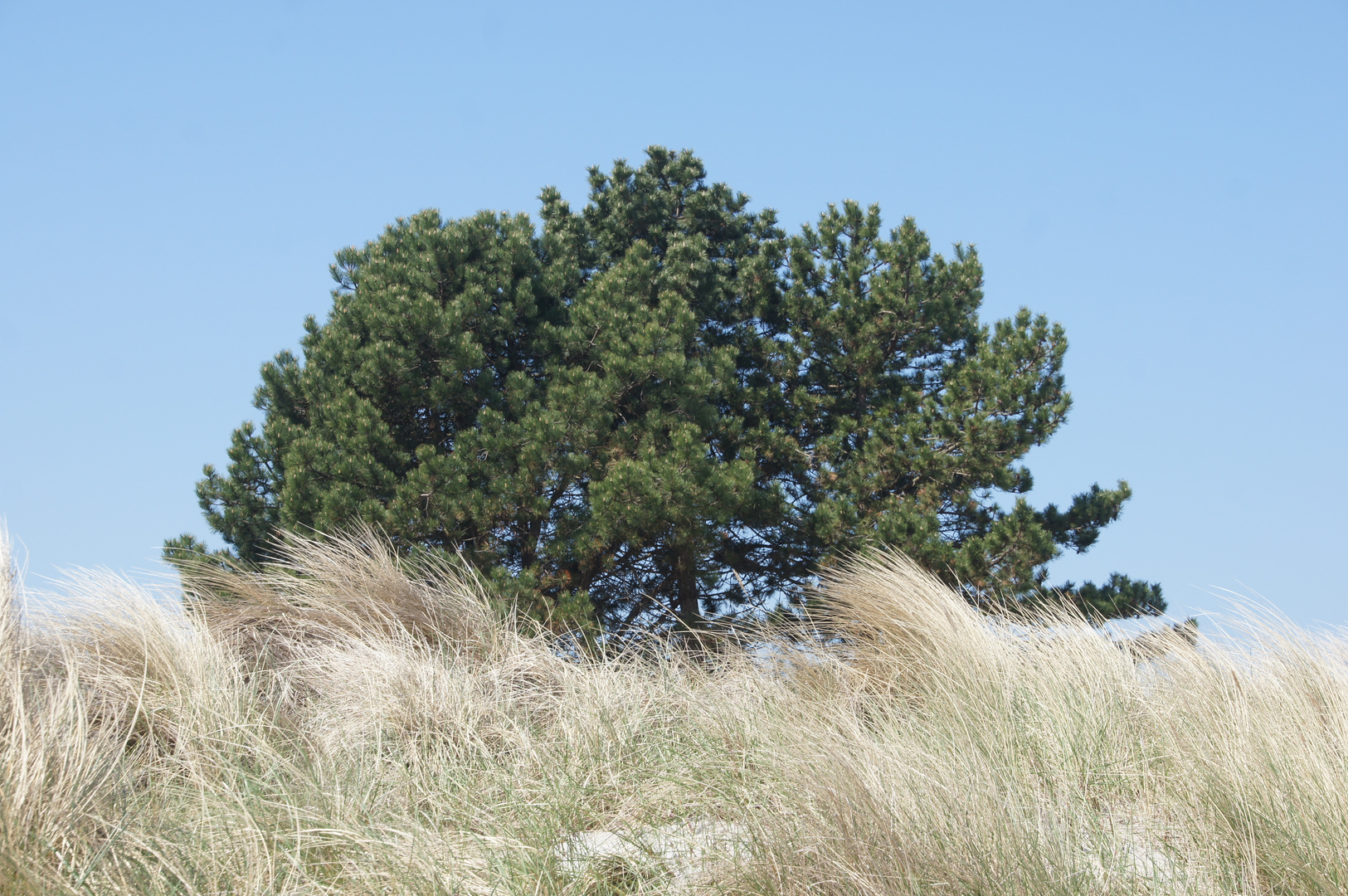 Ostsee Mai 2013 II