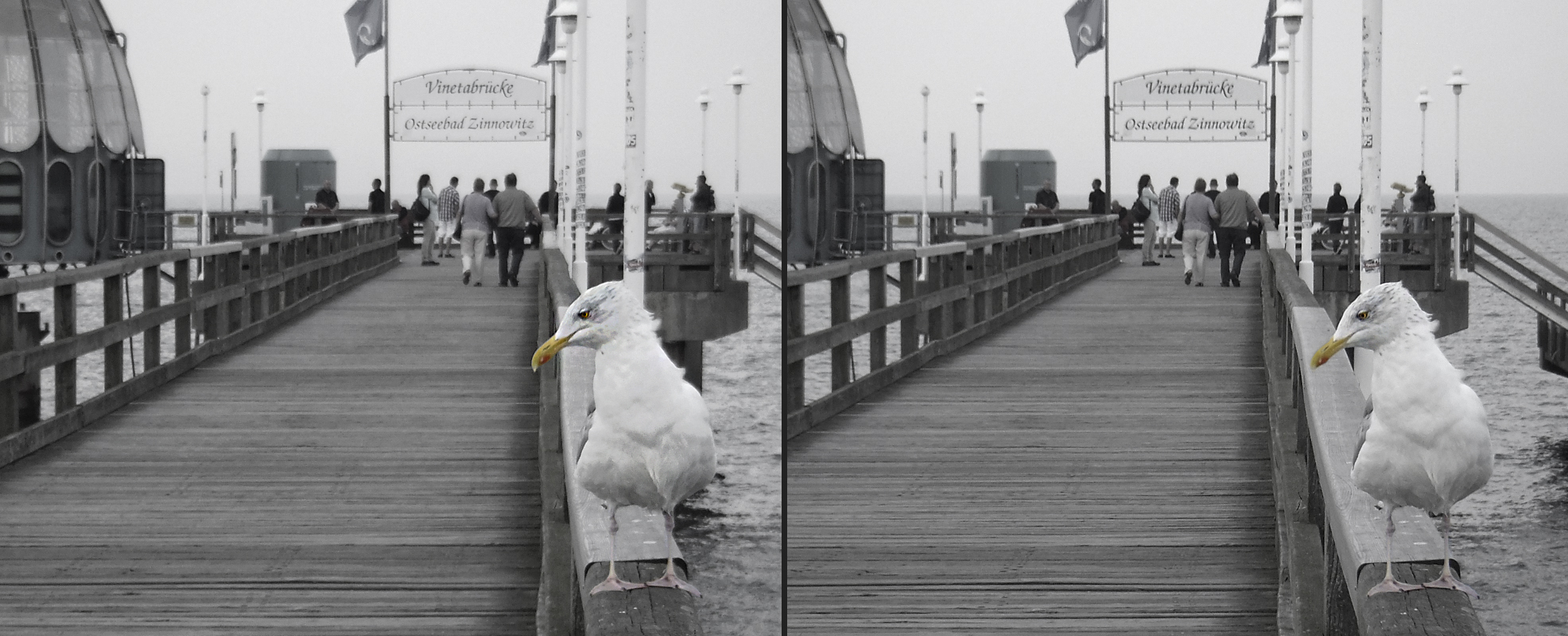 "Ostsee-Möwe" 1 -3D-