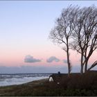 Ostsee - Momente