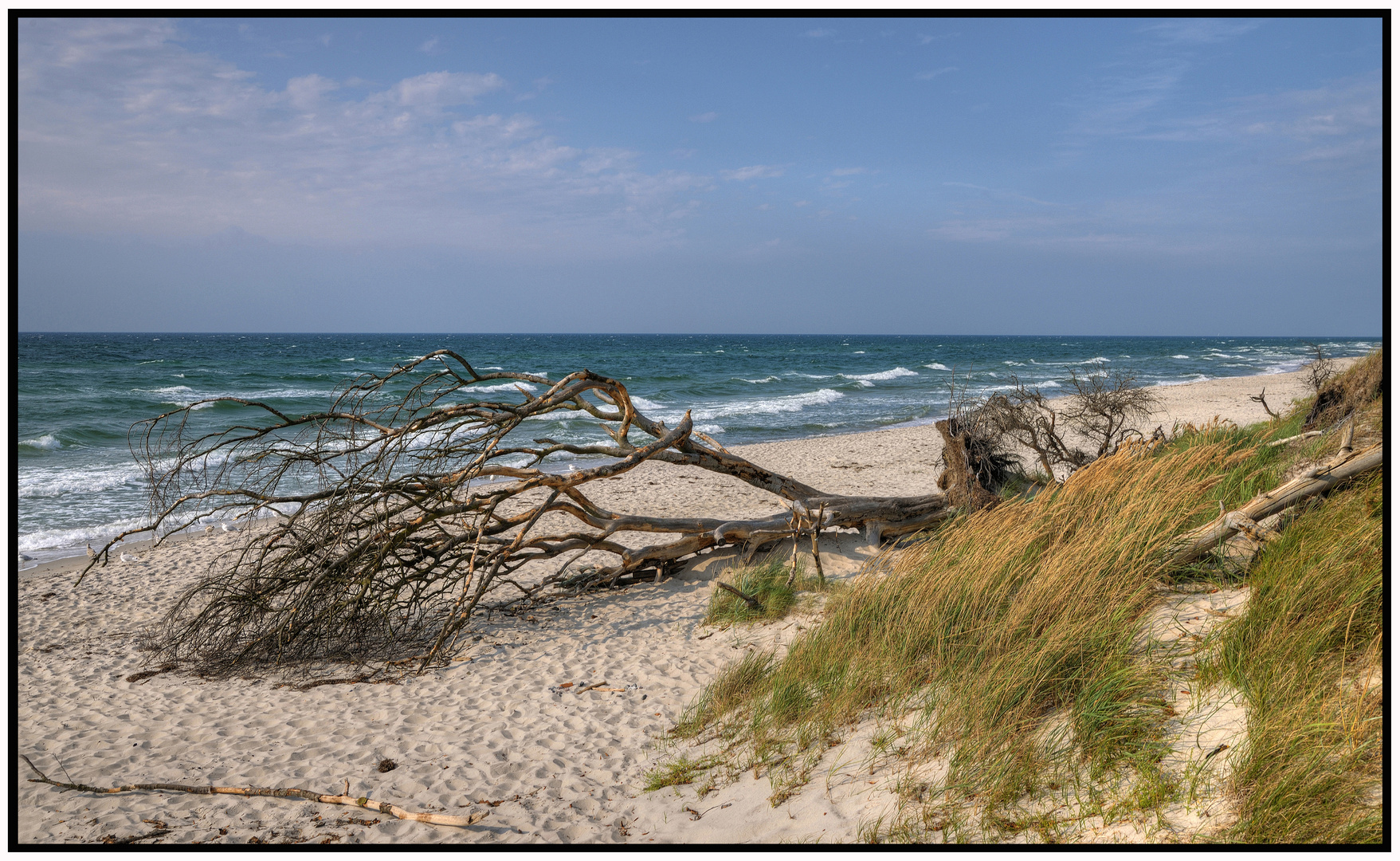 Ostsee Naturstrand Prerow