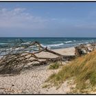 Ostsee Naturstrand Prerow