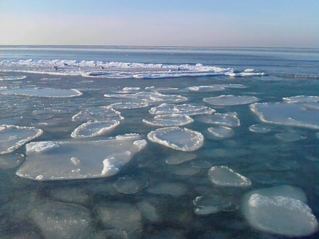 Ostsee ostsee-dierhagen.de