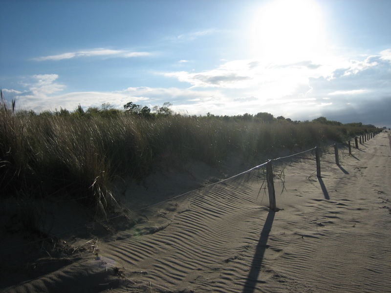 Ostsee pur