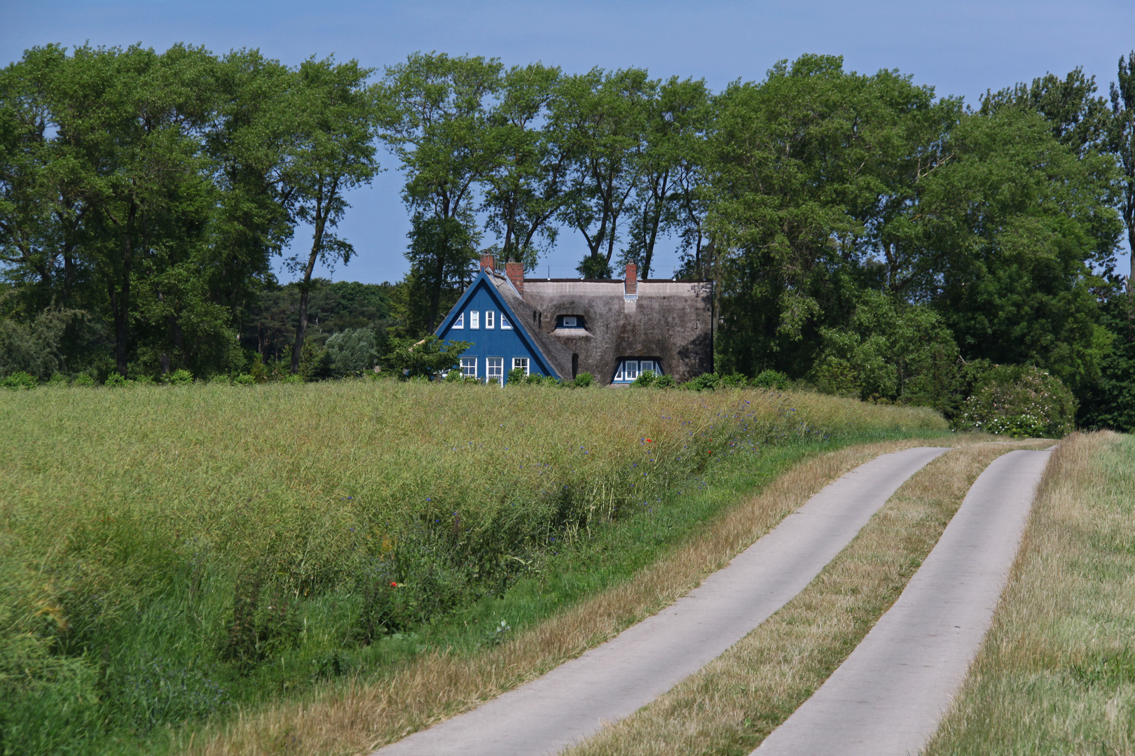 Ostsee-Radweg