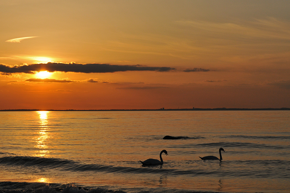 Ostsee – Romantik 04