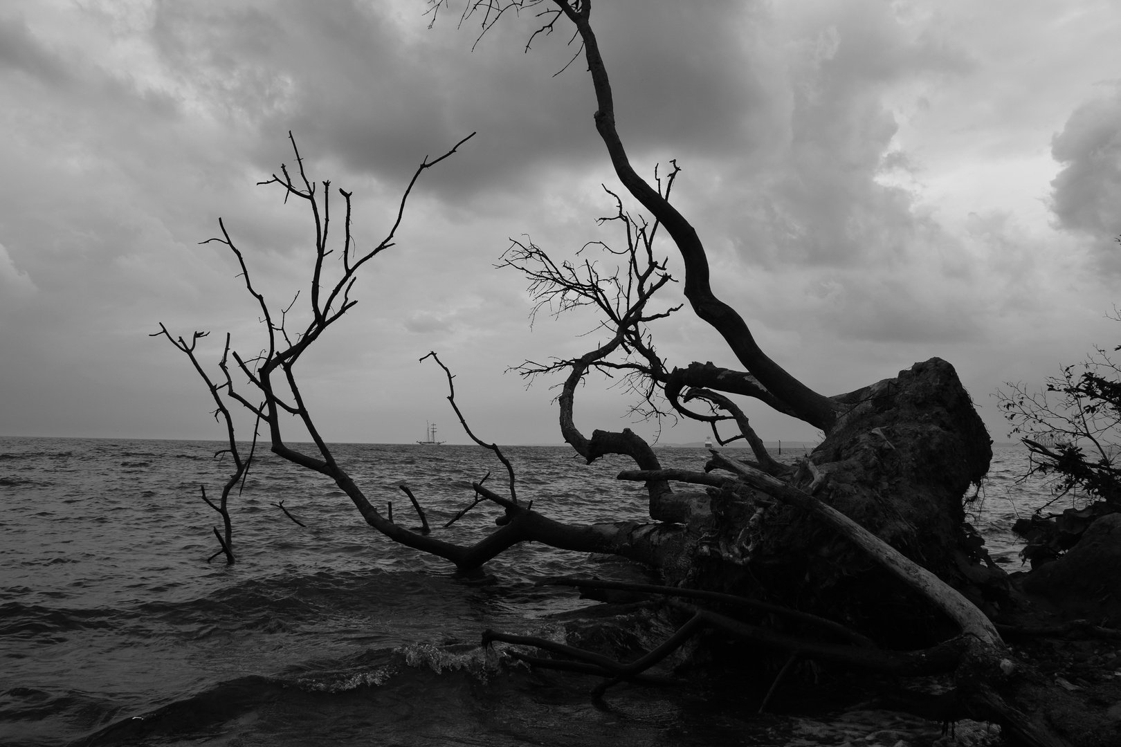 Ostsee Rügen