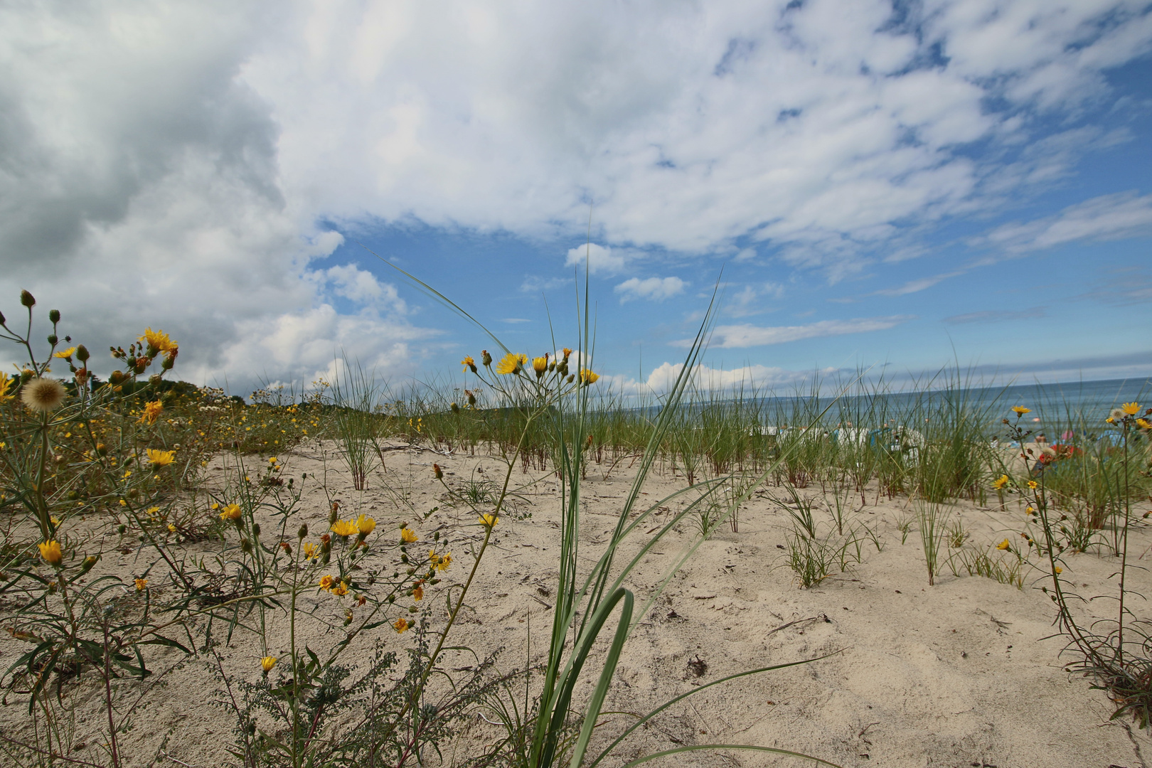 Ostsee Rügen