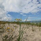 Ostsee Rügen