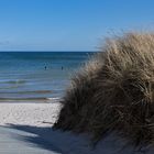 Ostsee Saeby 010 