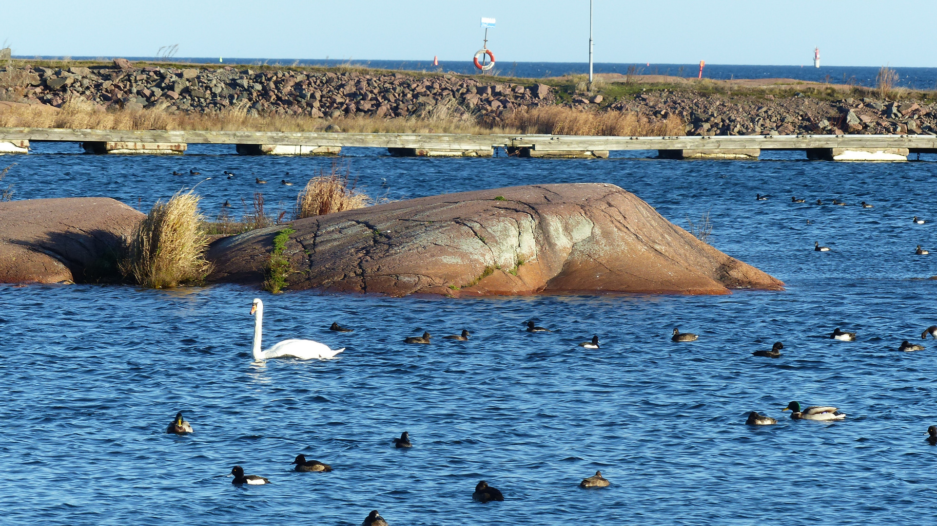 Ostsee Schweden