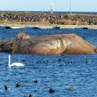 Ostsee Schweden