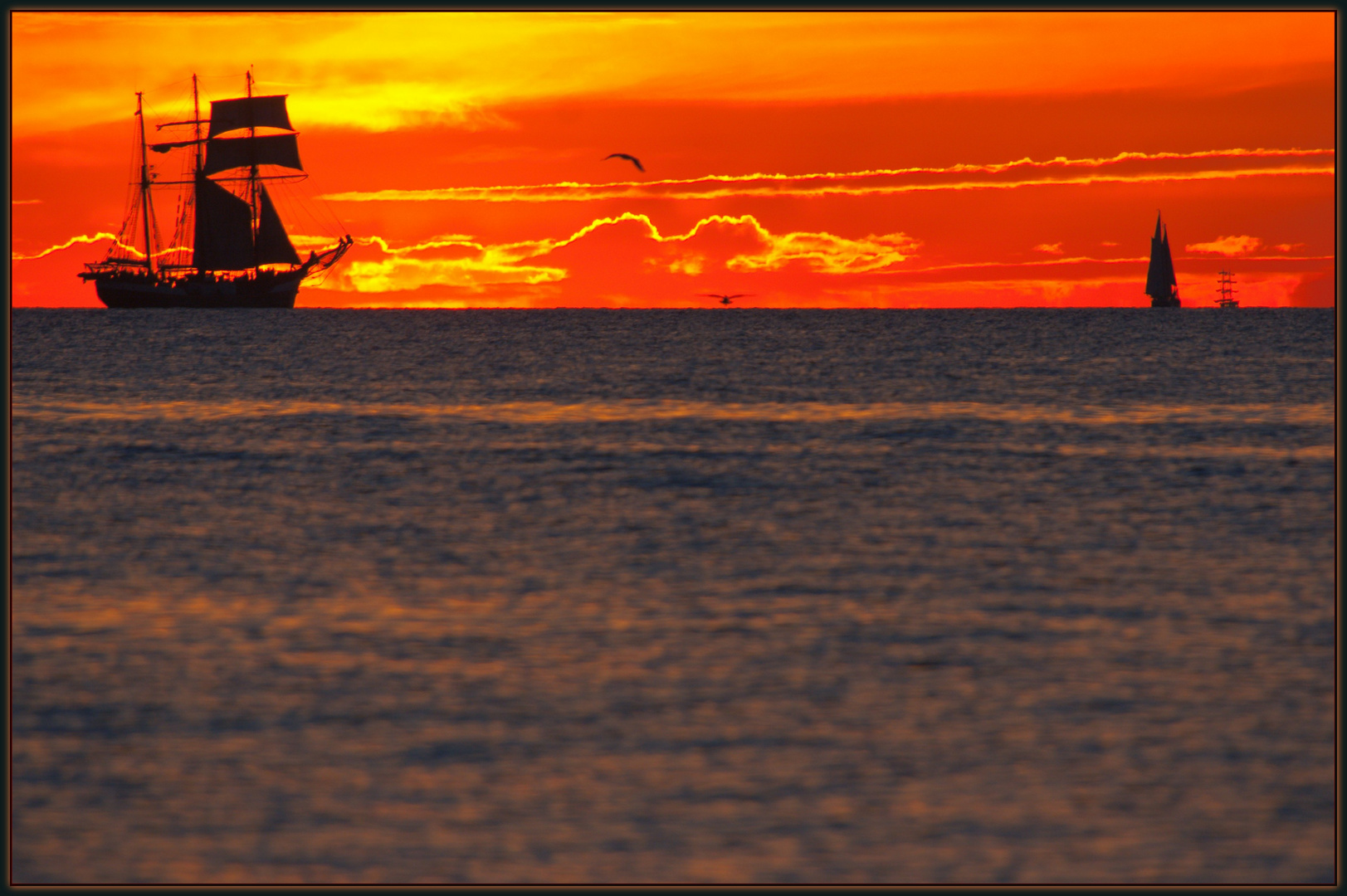 Ostsee Segelregatta Sonnenuntergang