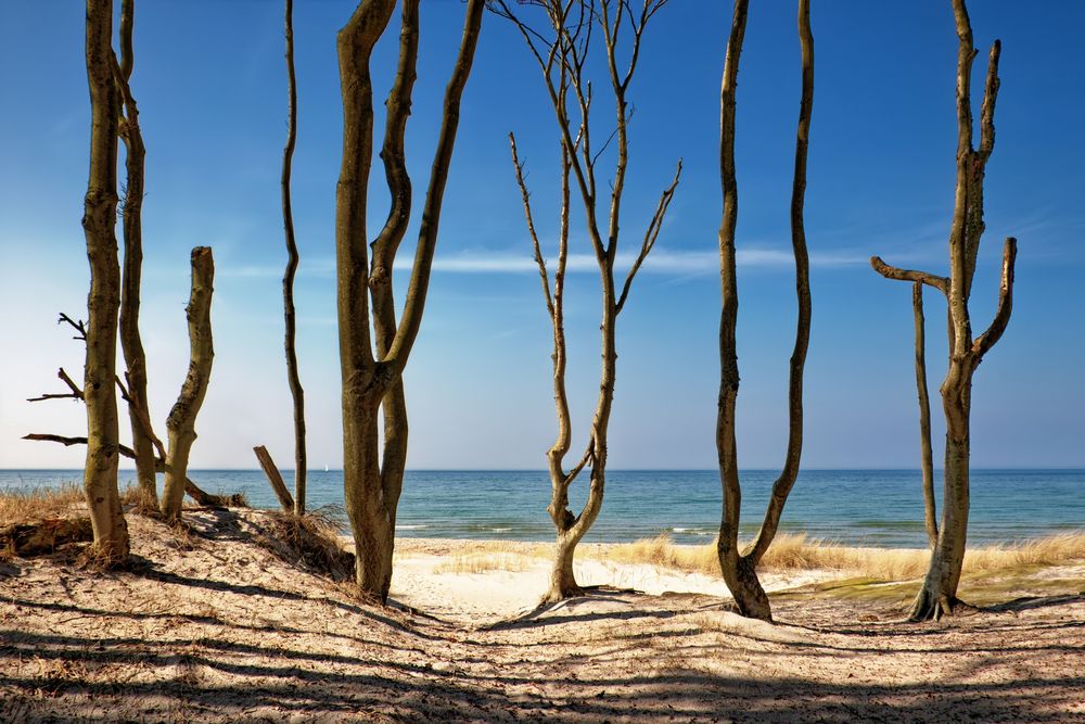 Ostsee-Skulpturen