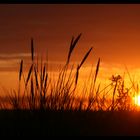 *Ostsee-Sommer*